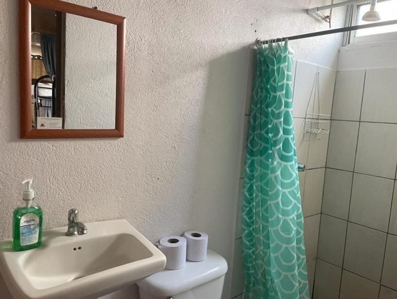Alpha Arenal Hostel La Fortuna Εξωτερικό φωτογραφία